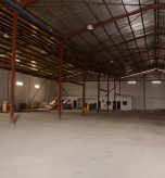 WhatsApp Image 2026-03-12 at 16.46.36